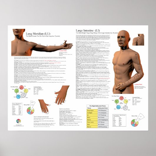 Poster Points d'acupuncture du méridien du poumon (Devant)