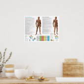 Poster Points d'acupuncture du méridien du rein (Cuisine)