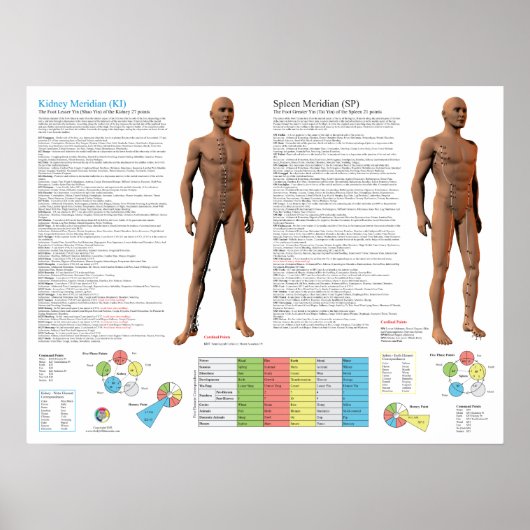 Poster Points d'acupuncture du méridien du rein (Devant)