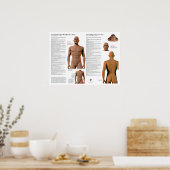Poster Points d'acupuncture du méridien gouverneur (Cuisine)