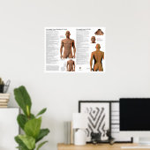 Poster Points d'acupuncture du méridien gouverneur (Bureau à domicile)
