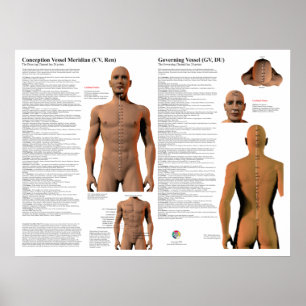 Poster Points d'acupuncture du méridien gouverneur
