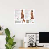 Poster Points d'acupuncture du méridien TW Meridian (Bureau à domicile)