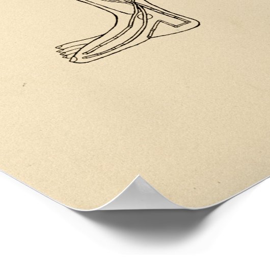 Poster Points d'acupuncture vintage (Coin)