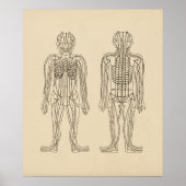 Poster Points d'acupuncture vintage (Devant)