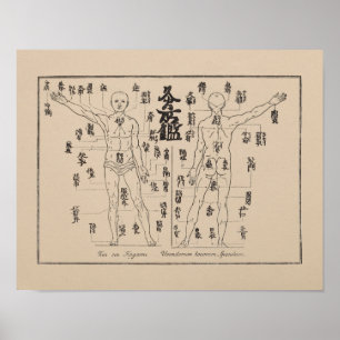 Poster Points de Moxa en acuponcture japonaise