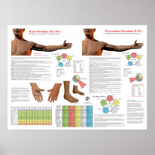 Poster Points du méridien du cœur en acupuncture
