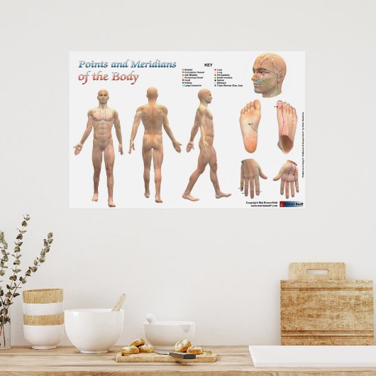 Poster Points et méridiens du corps (Cuisine)
