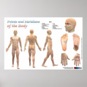 Poster Points et méridiens du corps (Devant)