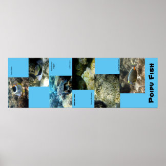 Poster Poipu