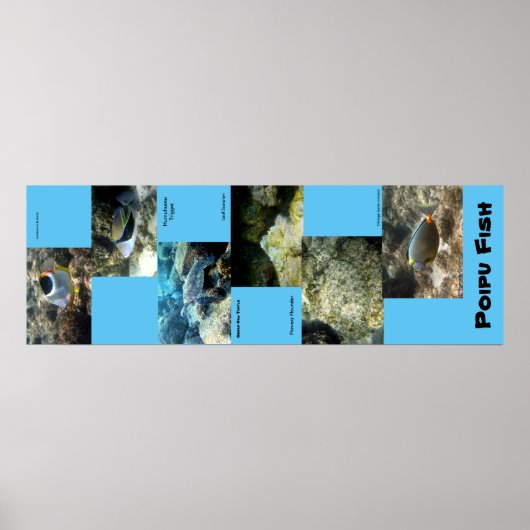 Poster Poipu (Devant)