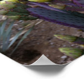 Poster Poire pourpre opuntie cactus fleurs jaunes (Coin)