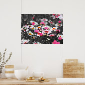 Poster Poireaux roses : rose Fleur Couleur Tache Photogra (Cuisine)
