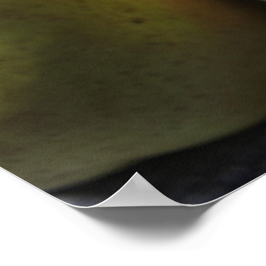 Poster Poires à compas (Coin)