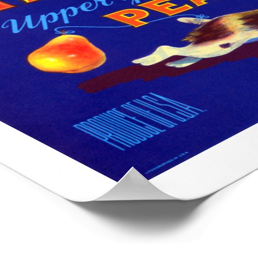 Poster Poires à cravate (Coin)