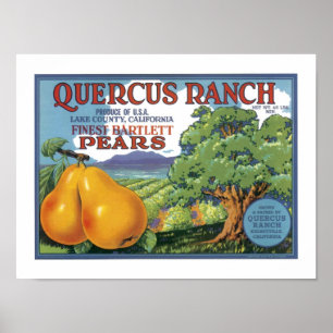 Poster Poires bartlett de ranch de quercus