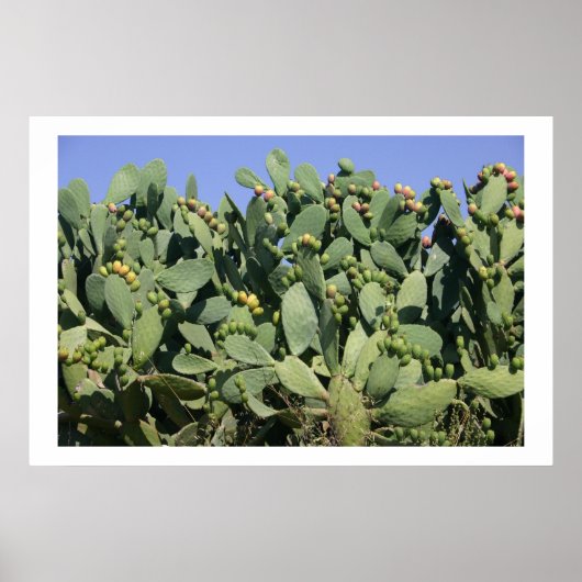 Poster Poires épineuses (Devant)