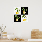 Poster Poires sauvages (Cuisine)