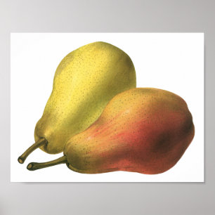 Poster Poires Vintage, Aliments Biologiques, Fruits Mûrs