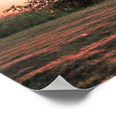 Poster Poirier solitaire (Coin)