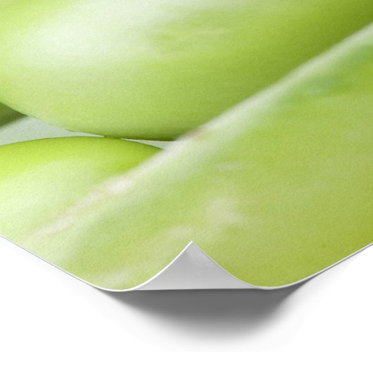 Poster Pois bio frais (Coin)