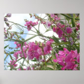 Poster pois doux (Devant)