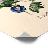 Poster Pois papillon Fleur botanique (Coin)