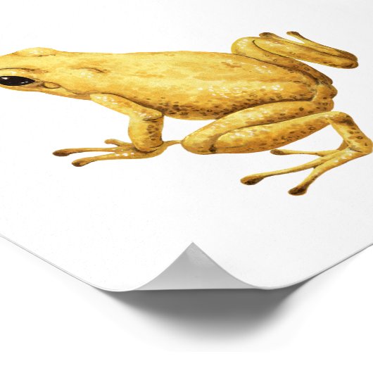 Poster Poison dart frog (Coin)