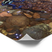 Poster Poison de grenouilles (Coin)