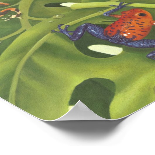 Poster Poison grenouilles (Coin)