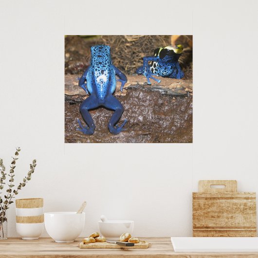 Poster Poison grenouilles (Cuisine)