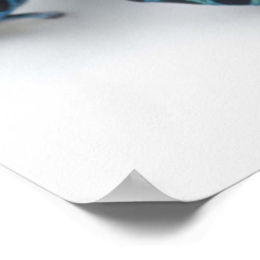 Poster Poison noir, jaune et bleu grenouille à tarte (Coin)