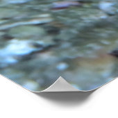Poster Poisson (Coin)