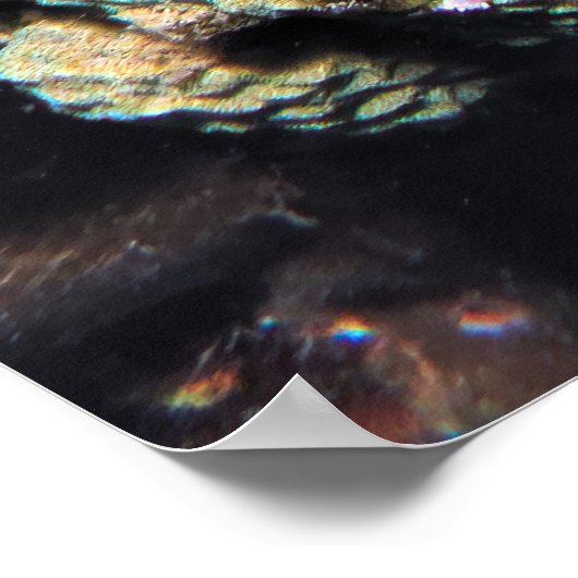 Poster Poisson (Coin)