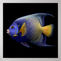 Poisson