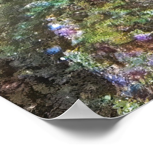 Poster Poisson (Coin)