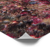 Poster Poisson (Coin)