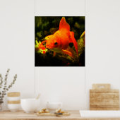 Poster poisson (Cuisine)
