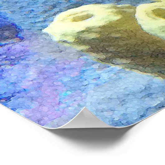 Poster Poisson (Coin)