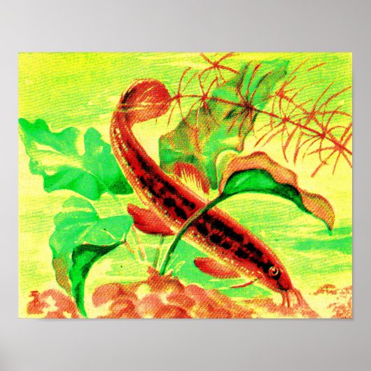 Poster poisson (Devant)