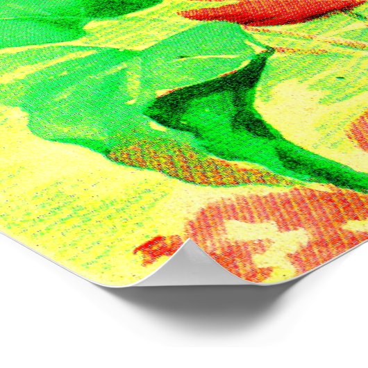 Poster poisson (Coin)