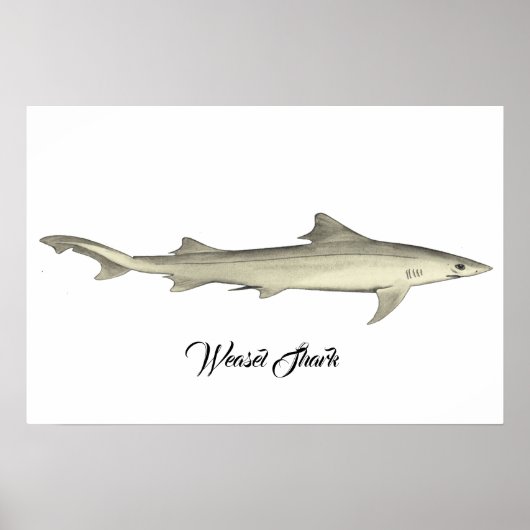 Poster Poisson (Devant)