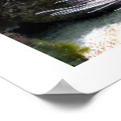 Poster Poisson (Coin)