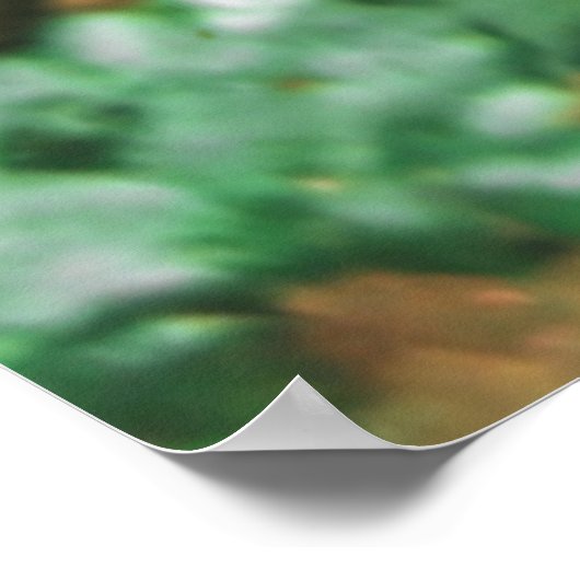 Poster Poisson (Coin)