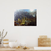 Poster Poisson2 (Cuisine)