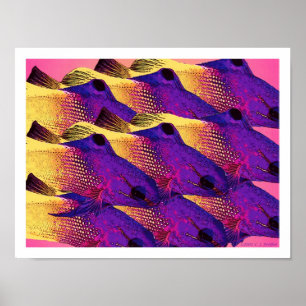 Poster 'Poisson 6.2'