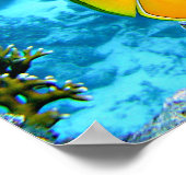 Poster Poisson à papillon de citron (Coin)
