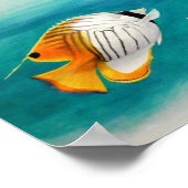 Poster Poisson ange (Coin)