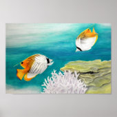 Poster Poisson ange (Devant)