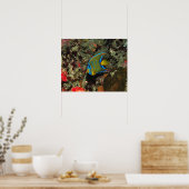 Poster Poisson-ange juvénile (Cuisine)